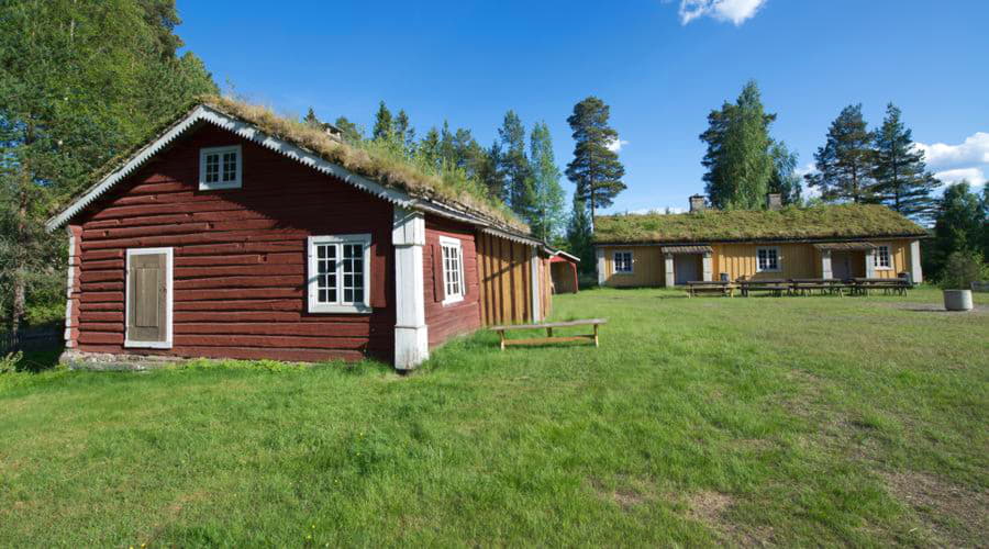 Jakie są najpopularniejsze wybory pojazdów w Elverum?